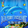 Dolphin Treasure
